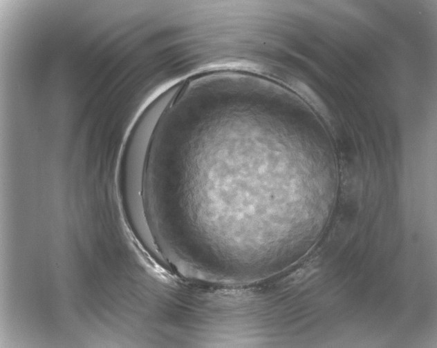 X0000067351044200604071420