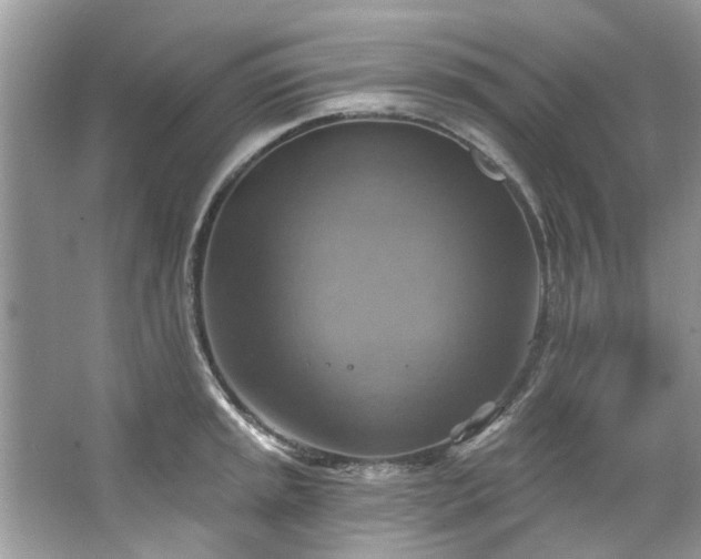 X0000067351045200604071420