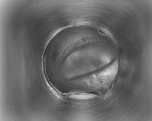 X0000067351047200604071420