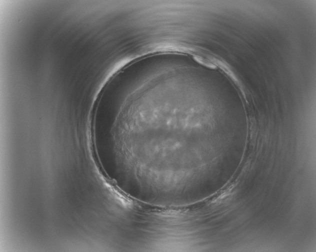 X0000067351048200604071420