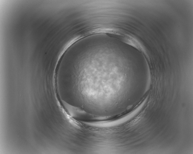 X0000067351050200604071420