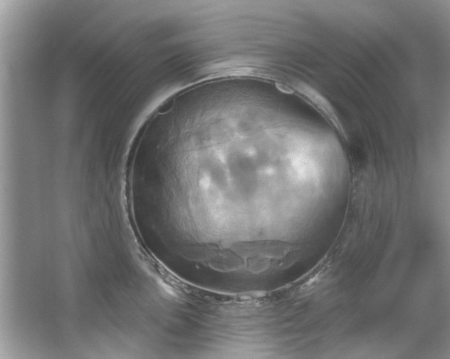 X0000067351051200604071420