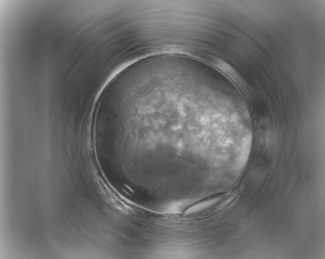 X0000067351052200604071420