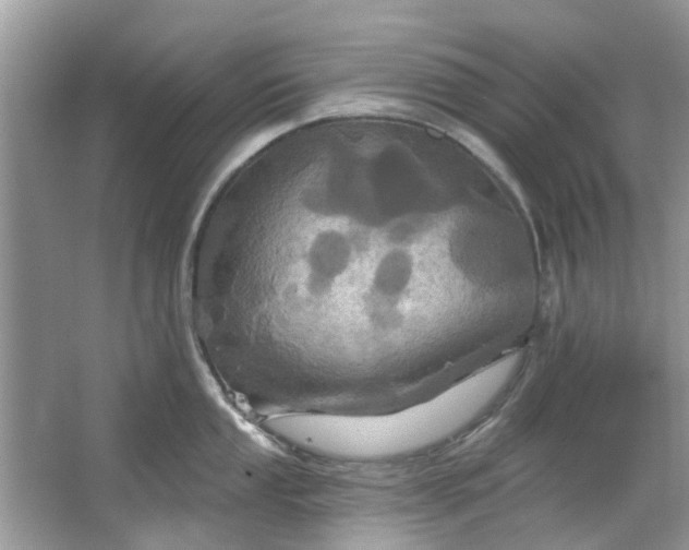 X0000067351053200604071420