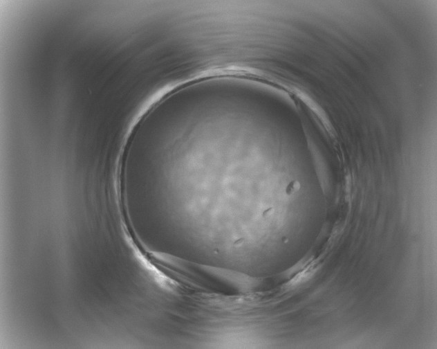 X0000067351054200604071420