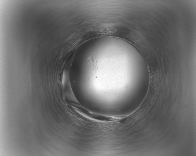 X0000067351058200604071420