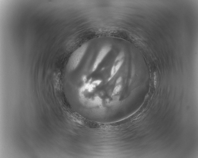 X0000067351059200604071420