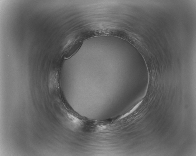 X0000067351060200604071420