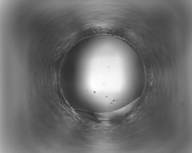 X0000067351061200604071420