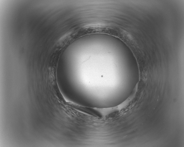 X0000067351062200604071420