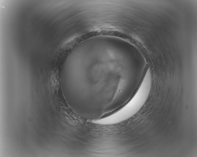 X0000067351063200604071419