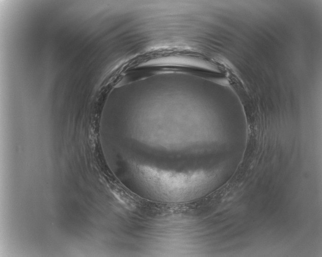 X0000067351064200604071419