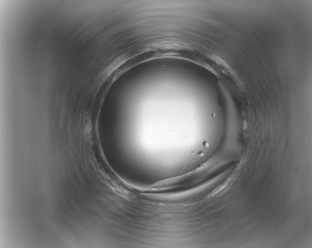 X0000067351065200604071419