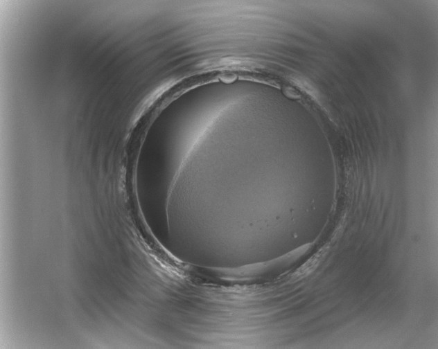 X0000067351066200604071419