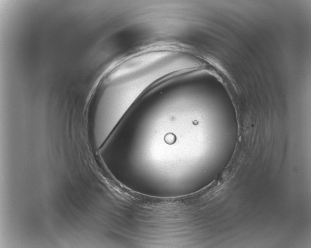 X0000067351067200604071419