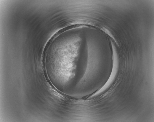 X0000067351068200604071419