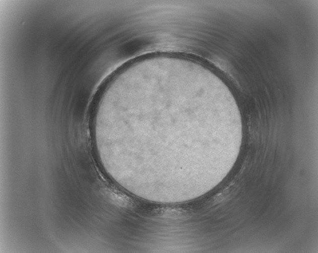 X0000067351070200604071419