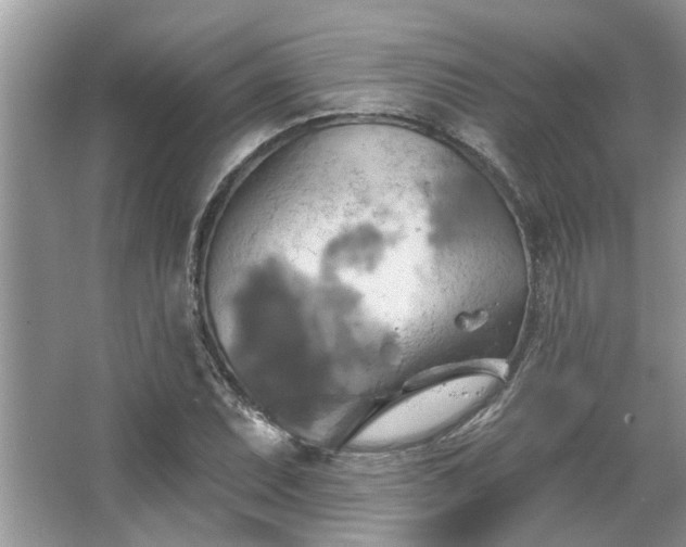 X0000067351071200604071419