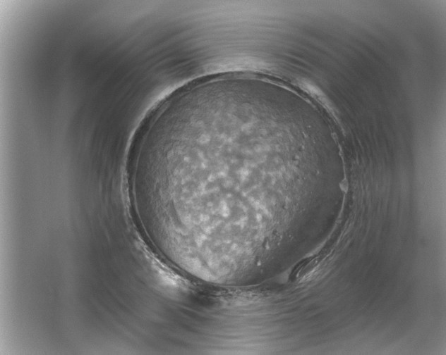 X0000067351072200604071419