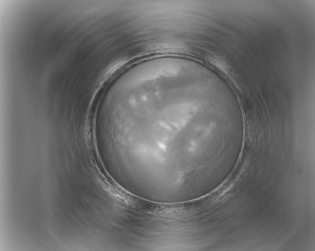 X0000067351074200604071419