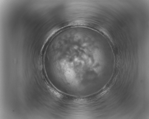 X0000067351075200604071419