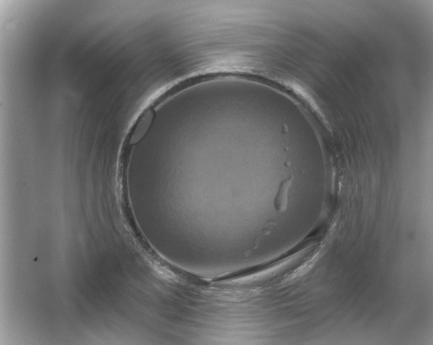 X0000067351077200604071419