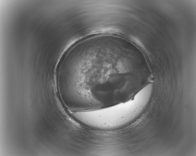 X0000067351079200604071419