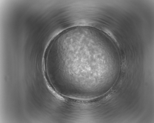 X0000067351080200604071419