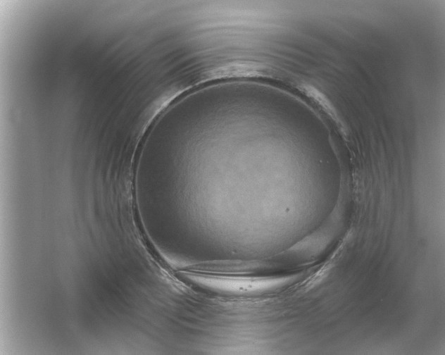 X0000067351081200604071419