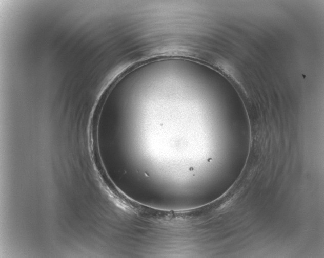 X0000067351082200604071419