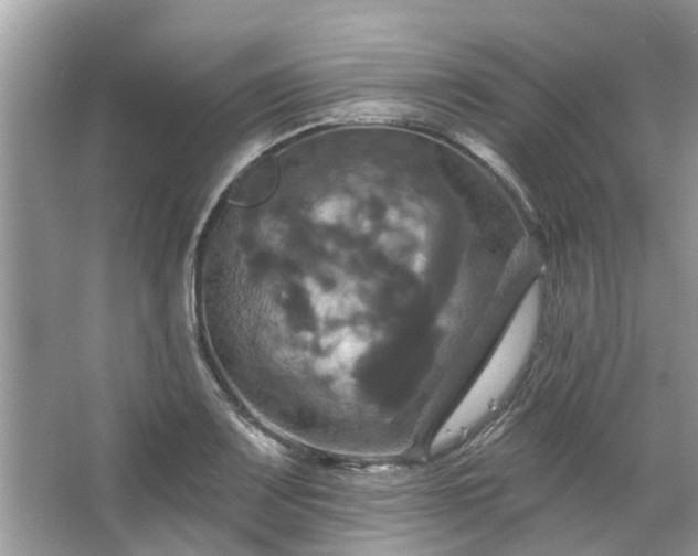 X0000067351083200604071419