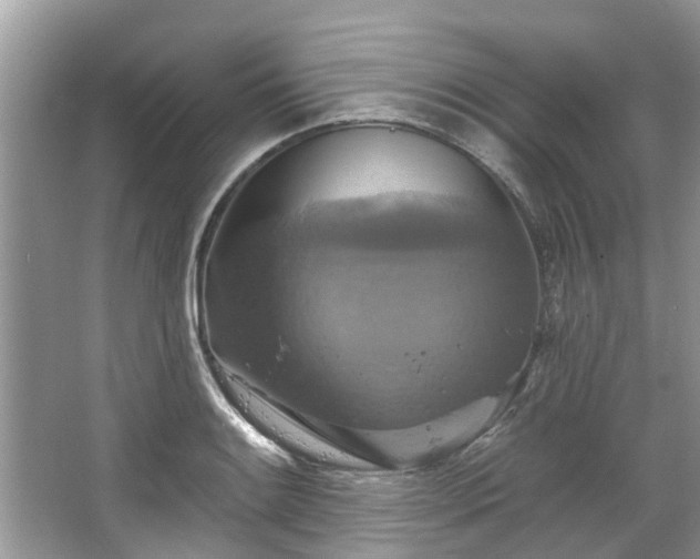 X0000067351084200604071419