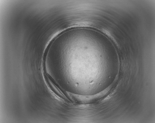 X0000067351085200604071419