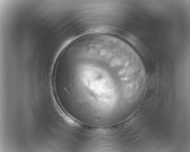 X0000067351086200604071419