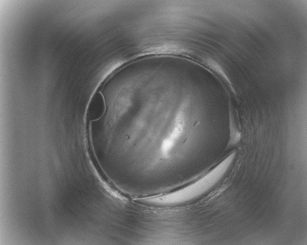 X0000067351087200604071419