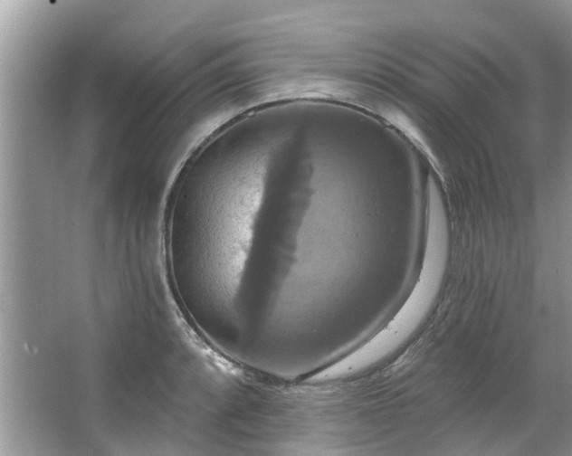 X0000067351088200604071419