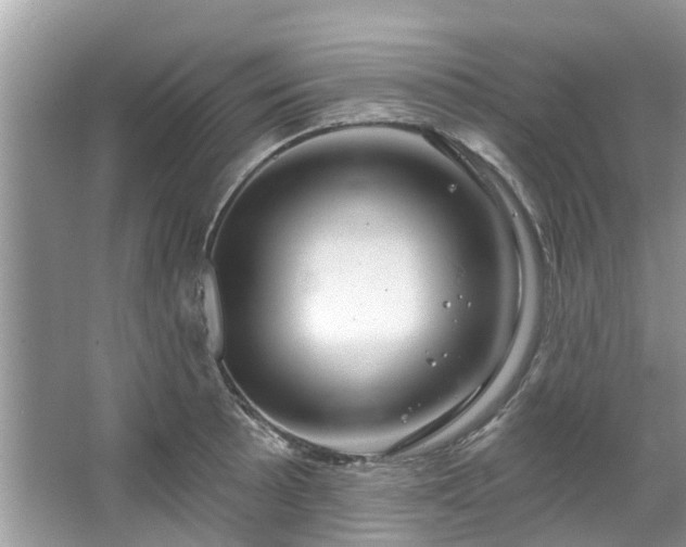 X0000067351089200604071419