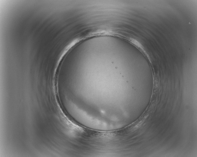 X0000067351090200604071419