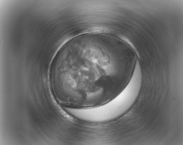 X0000067351091200604071419