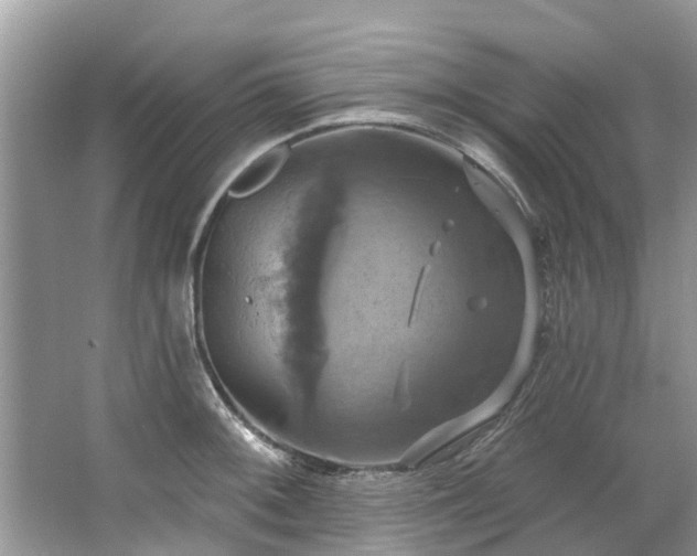 X0000067351092200604071419