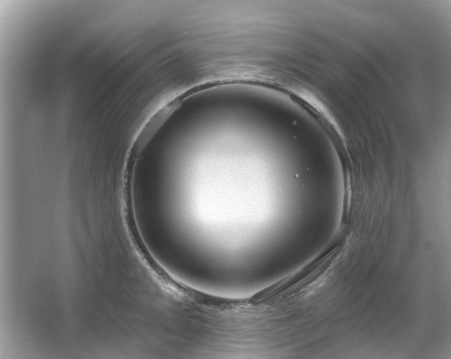 X0000067351093200604071419