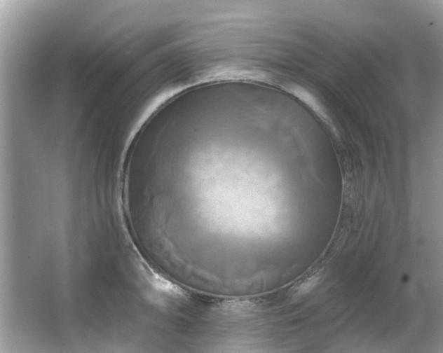 X0000067351094200604071419