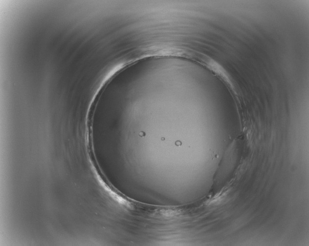 X0000067351095200604071419