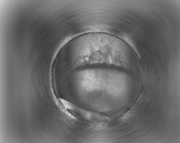 X0000067351096200604071419