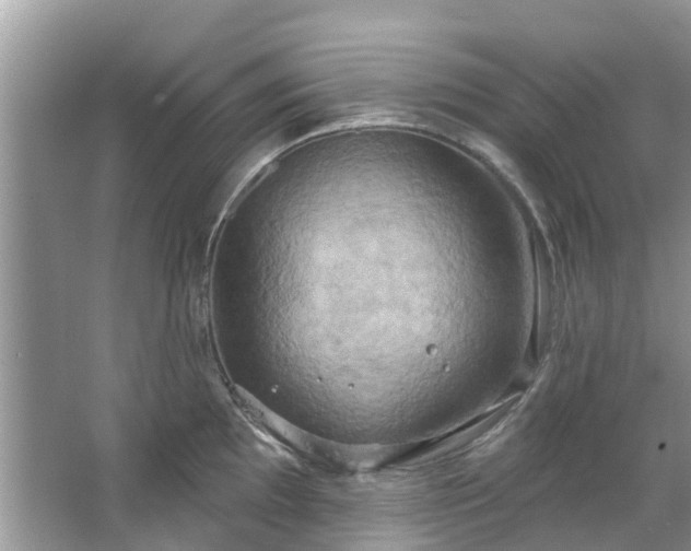 X0000067351097200604071419