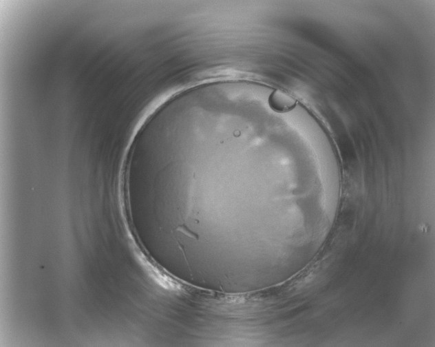 X0000067351098200604071419