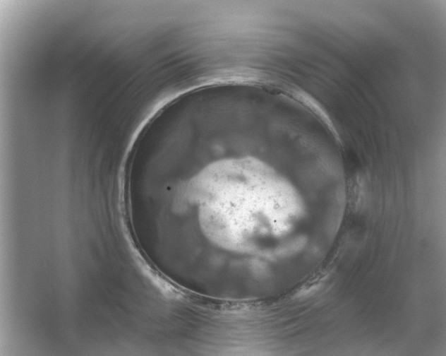 X0000067351099200604071419