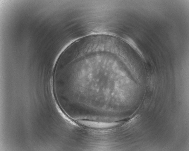 X0000067351100200604071419