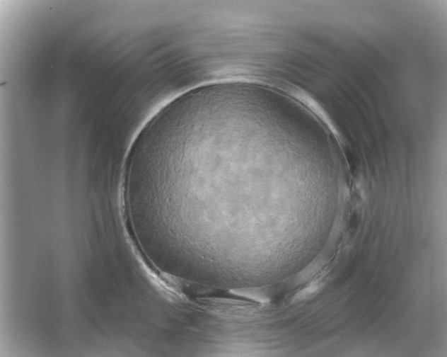 X0000067351101200604071419