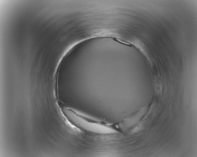 X0000067351102200604071419